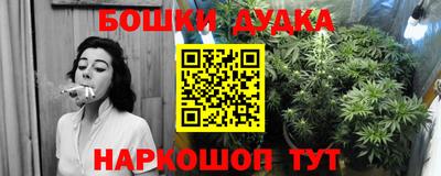 стафф Будённовск