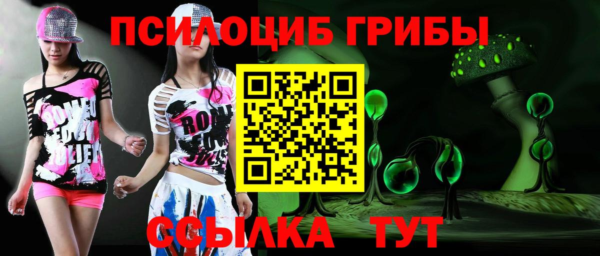 Псилоцибиновые грибы MAGIC MUSHROOMS Тутаев